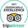 Trip_Advisor